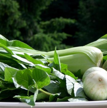Bok choy substitute