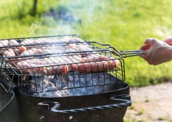 propane griddle