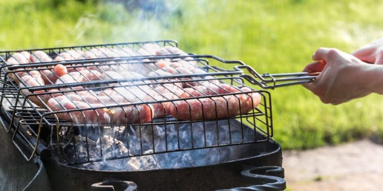 propane griddle